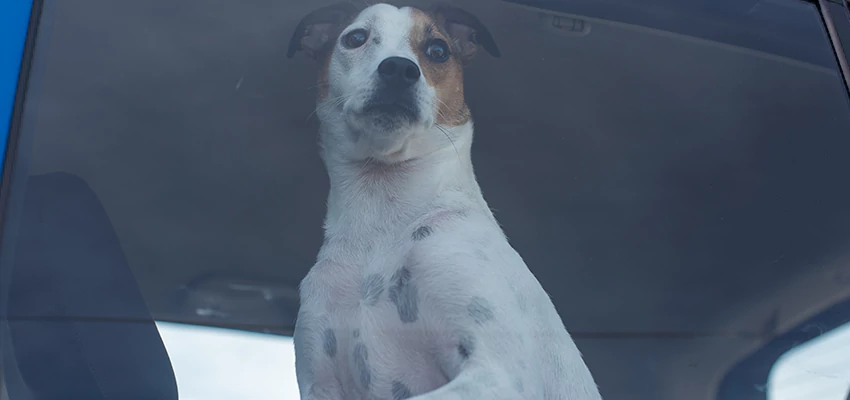 Car Lockout Solutions in Hillsborough, California